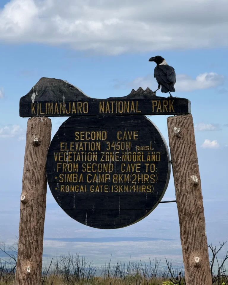 1783385532_3_kilimanjaro-second-cave-camp-sign