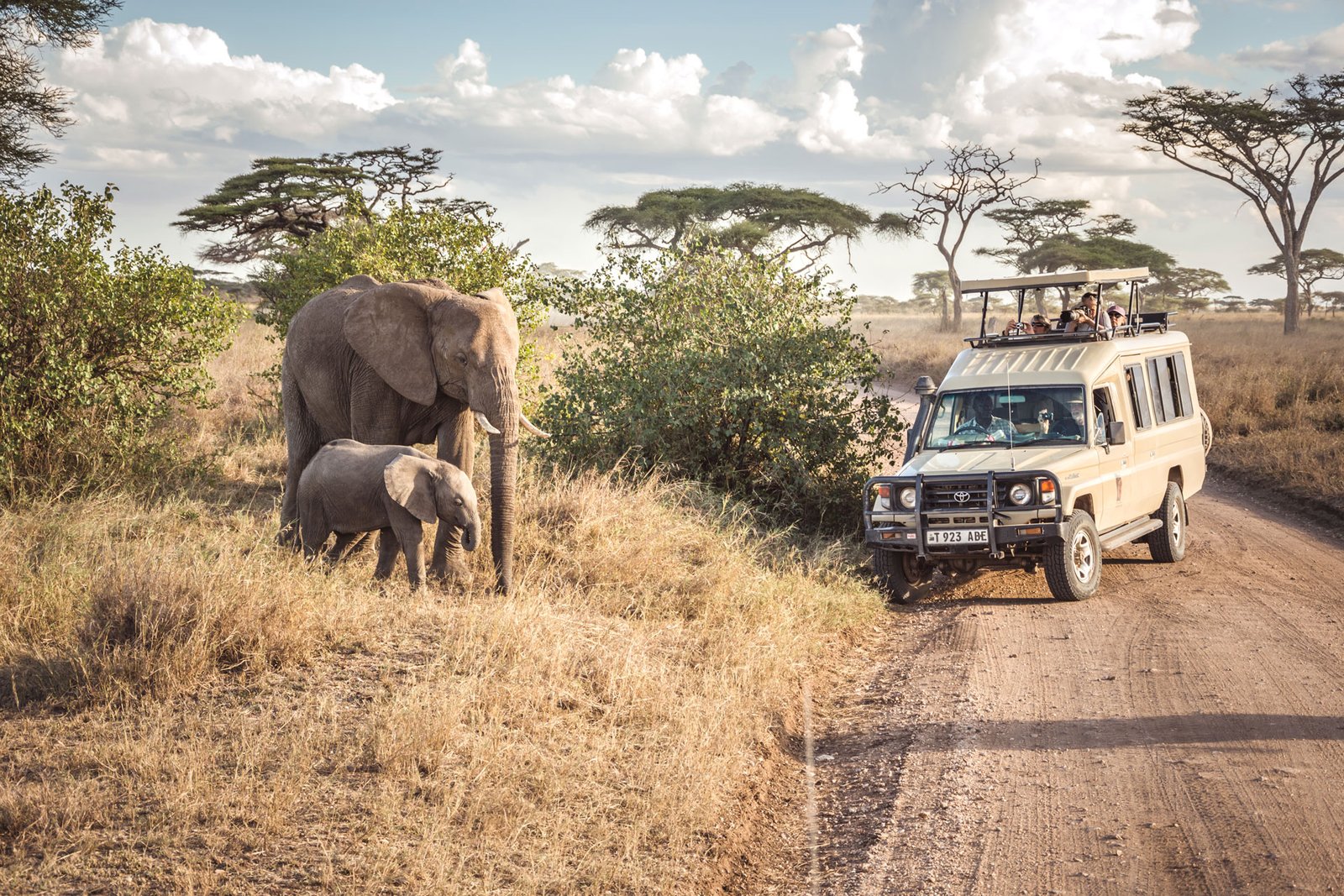 4-Days-Serengeti-Ngorongoro-Wildlife-Safari