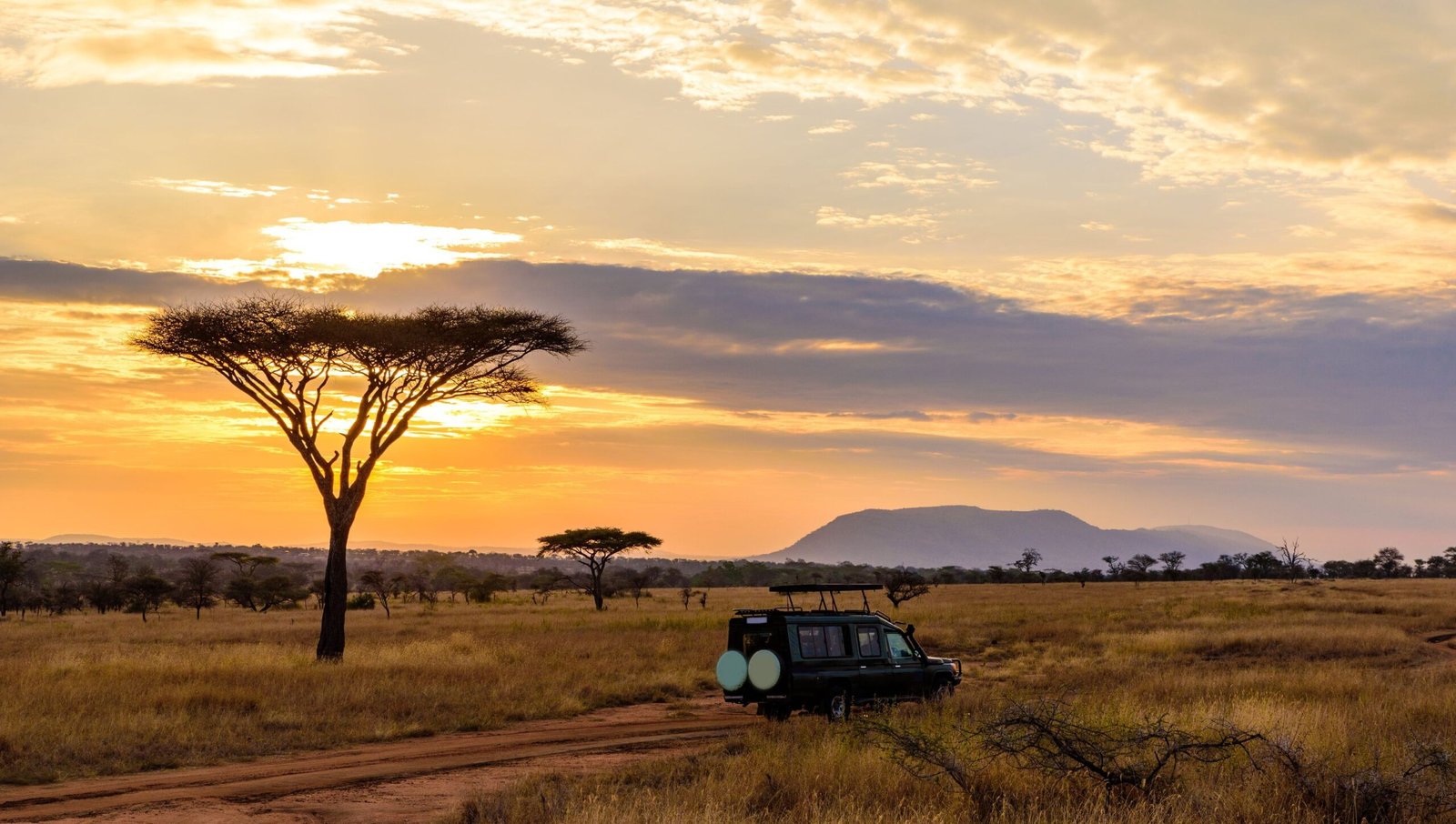 64d4d21ba89136c45fb6d606_Afrika_safari_serengeti-tanzania-AdobeStock_266330401-min-p-3200 - Copy