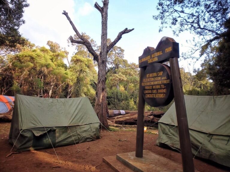 7-Days-Machame-Route-1024x768