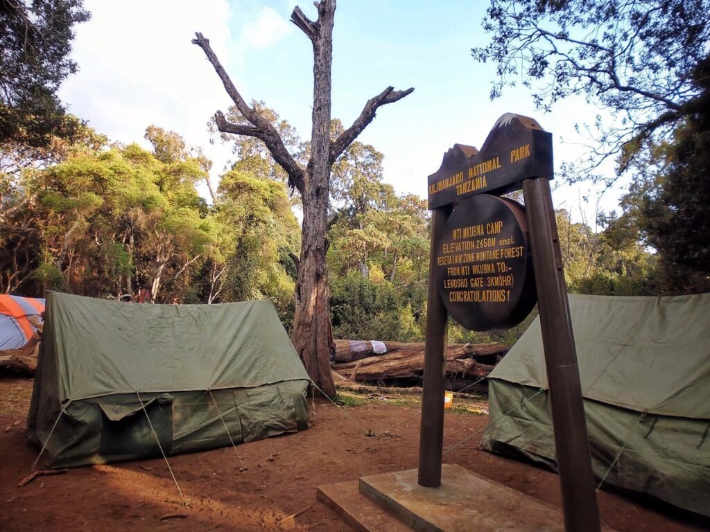 7-Days-Machame-Route-1024x768