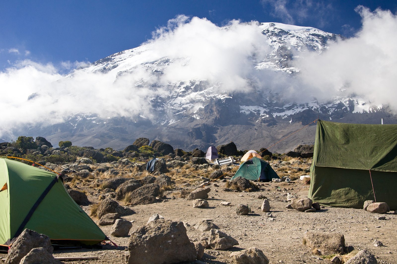 Kili, Tag 4: Karanga Camp (4000m)