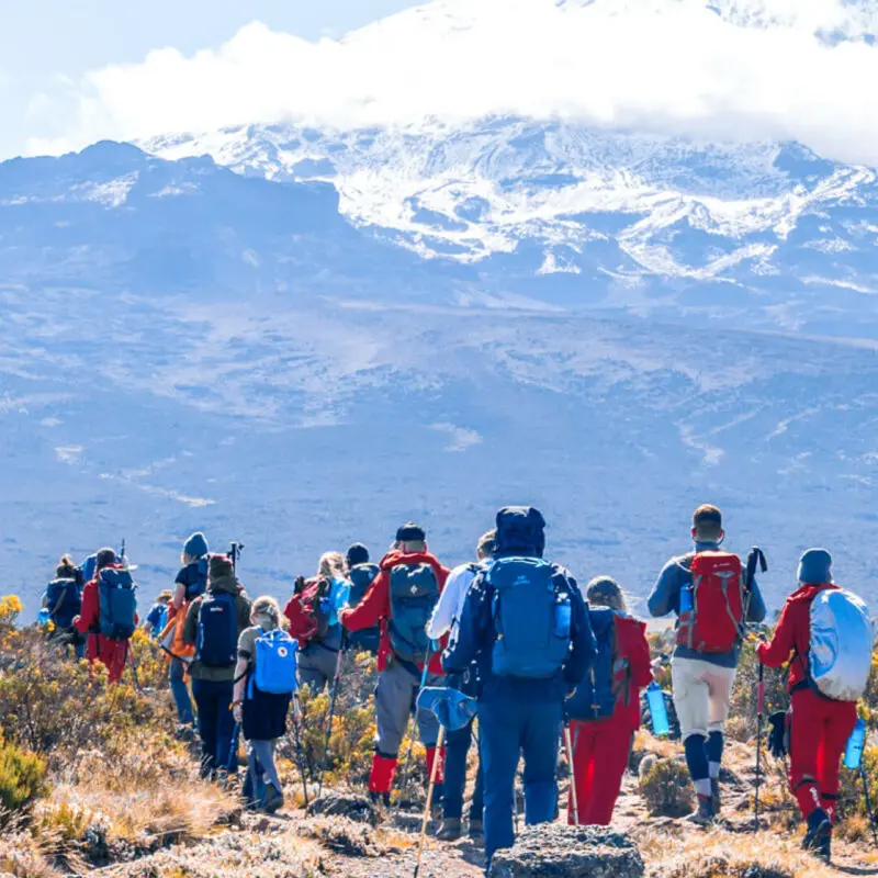 Asilia_Experiences_Climbing-Kili_Header-Image_Mobile-800x800.jpg