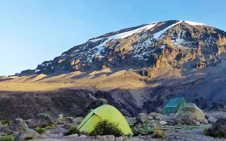 Kilimnanjaro-Rongai-route-Simba-Camp