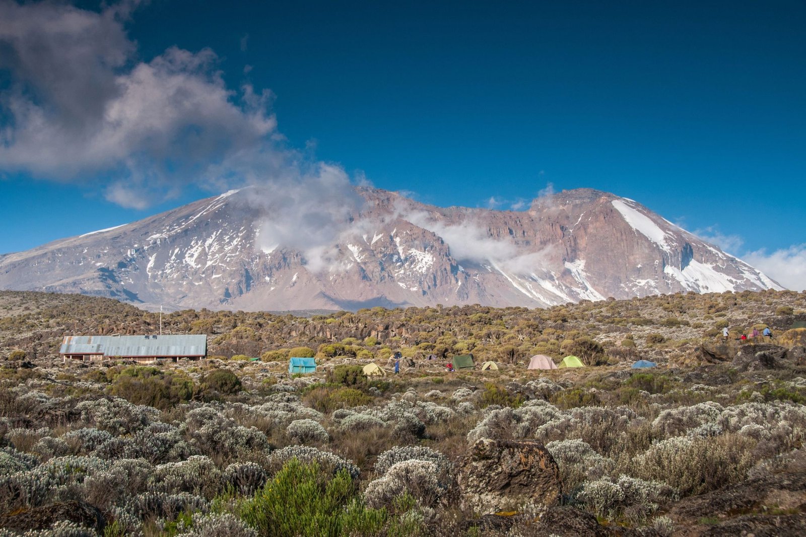 Looking_up_on_Kilimanjaro_from_Shira_campsite