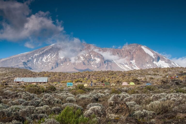 Looking_up_on_Kilimanjaro_from_Shira_campsite
