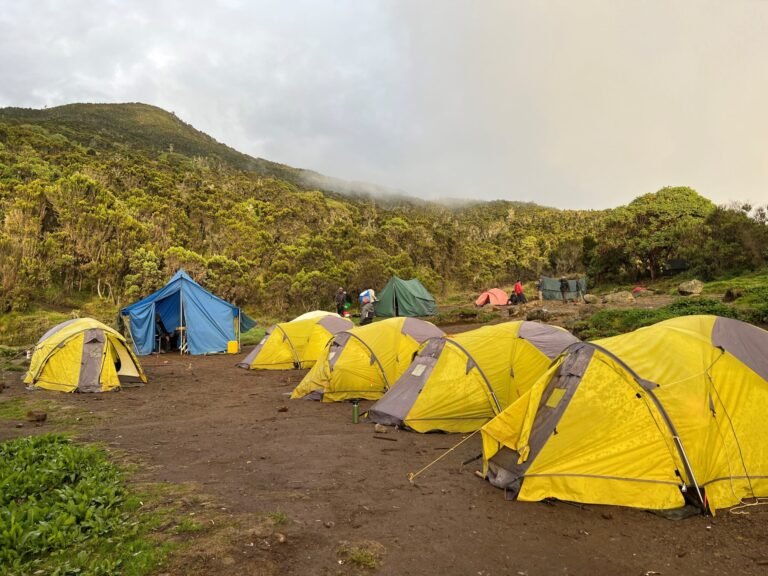 Machame-Camp-scaled