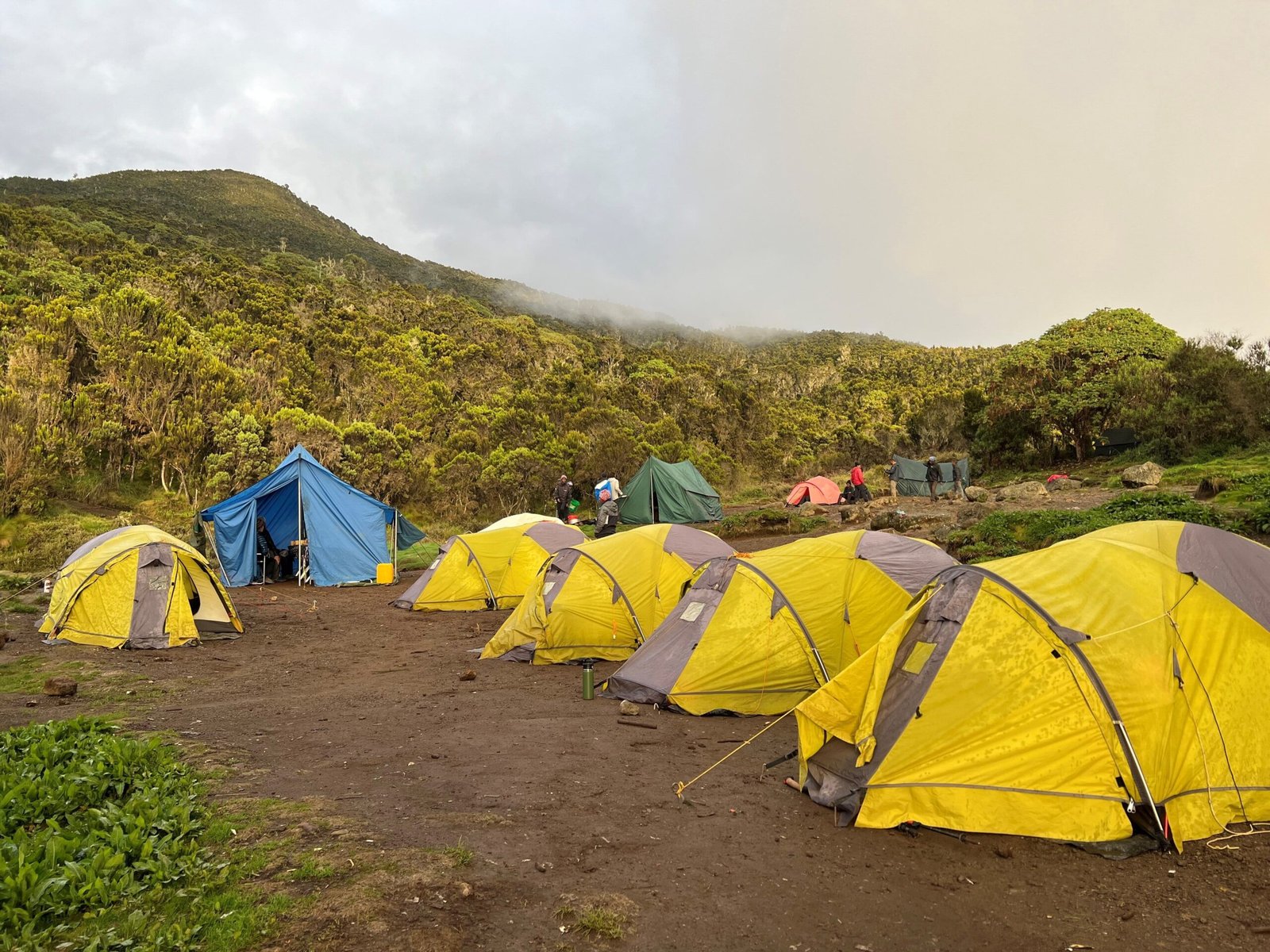 Machame-Camp-scaled