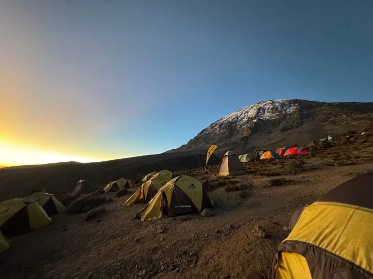 Machame-Camp-to-Shira-Camp-0