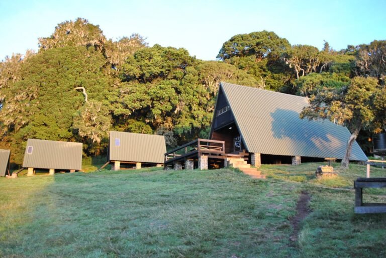 Mount_Kilimanjaro_Mandara_Huts_02