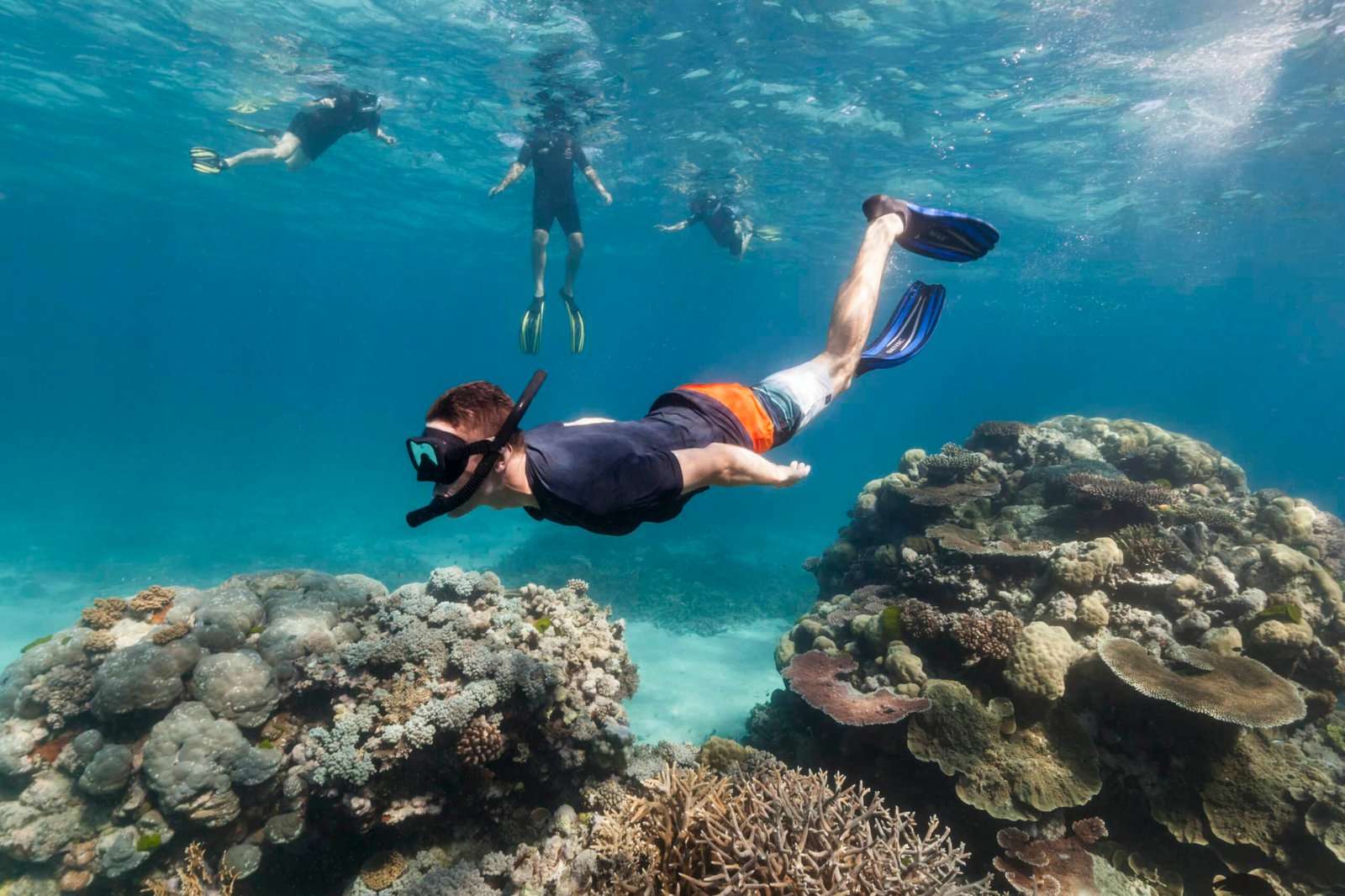 Snorkeling-in-Uroa-Beach-Zanzibar-Easy-Travel-Tanzania-scaled
