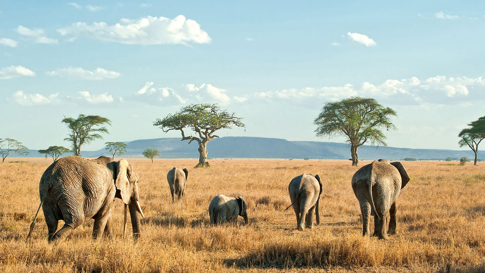Tarangire National ParkE