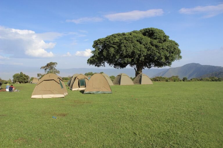 campground