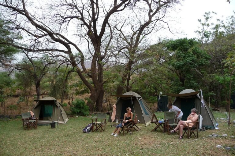 clients-at-the-campsite