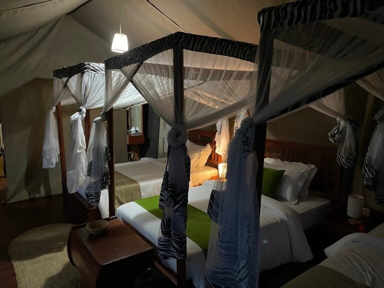 embalakai-authentic-camps (1)