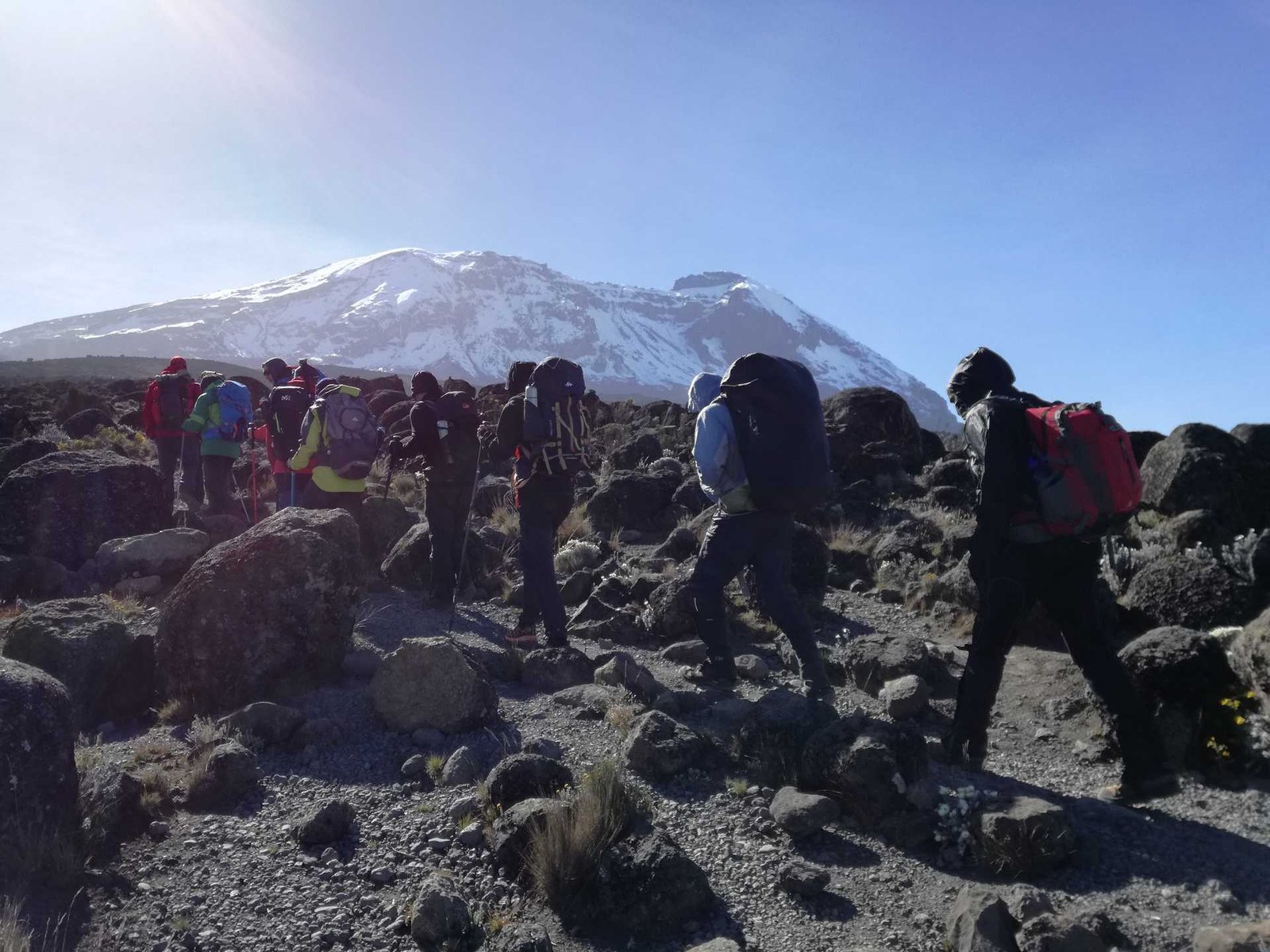 hikers-climbing-mount-kilimanjaro-1229