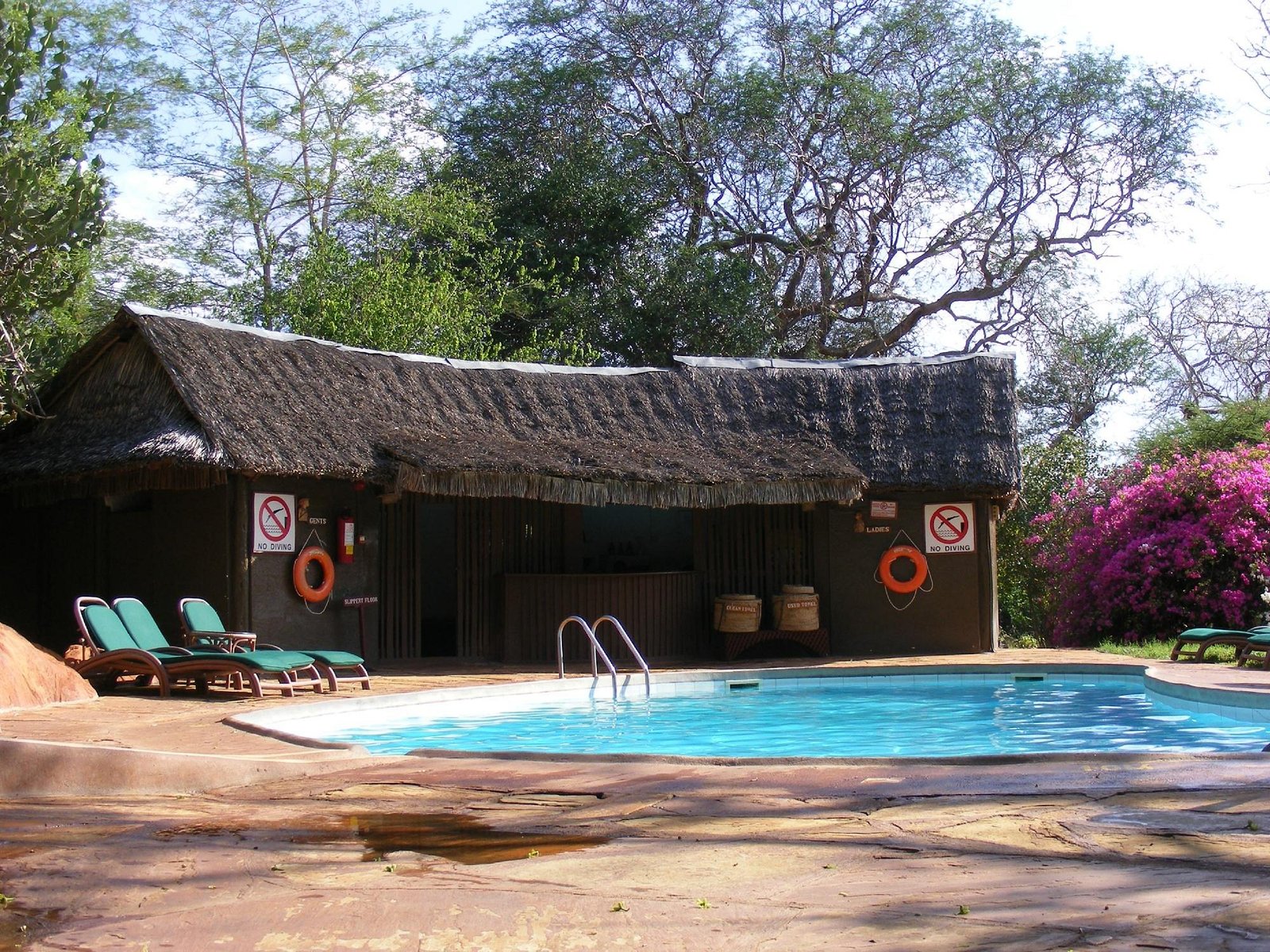 kilaguni-serena-safari (3)