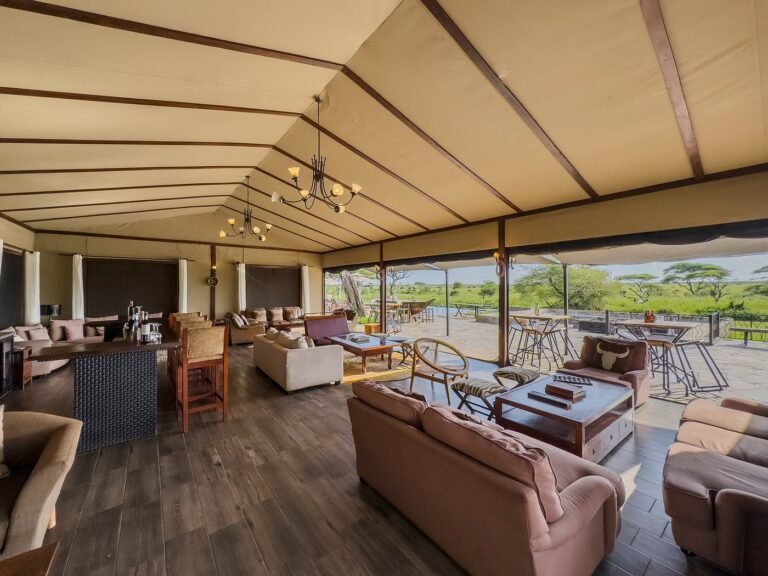 lounge-area