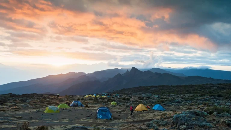 mountkilimanjaro-bg