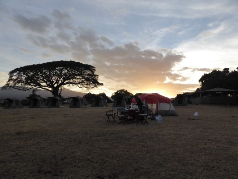 ngorongoro-simba-campsite (1)