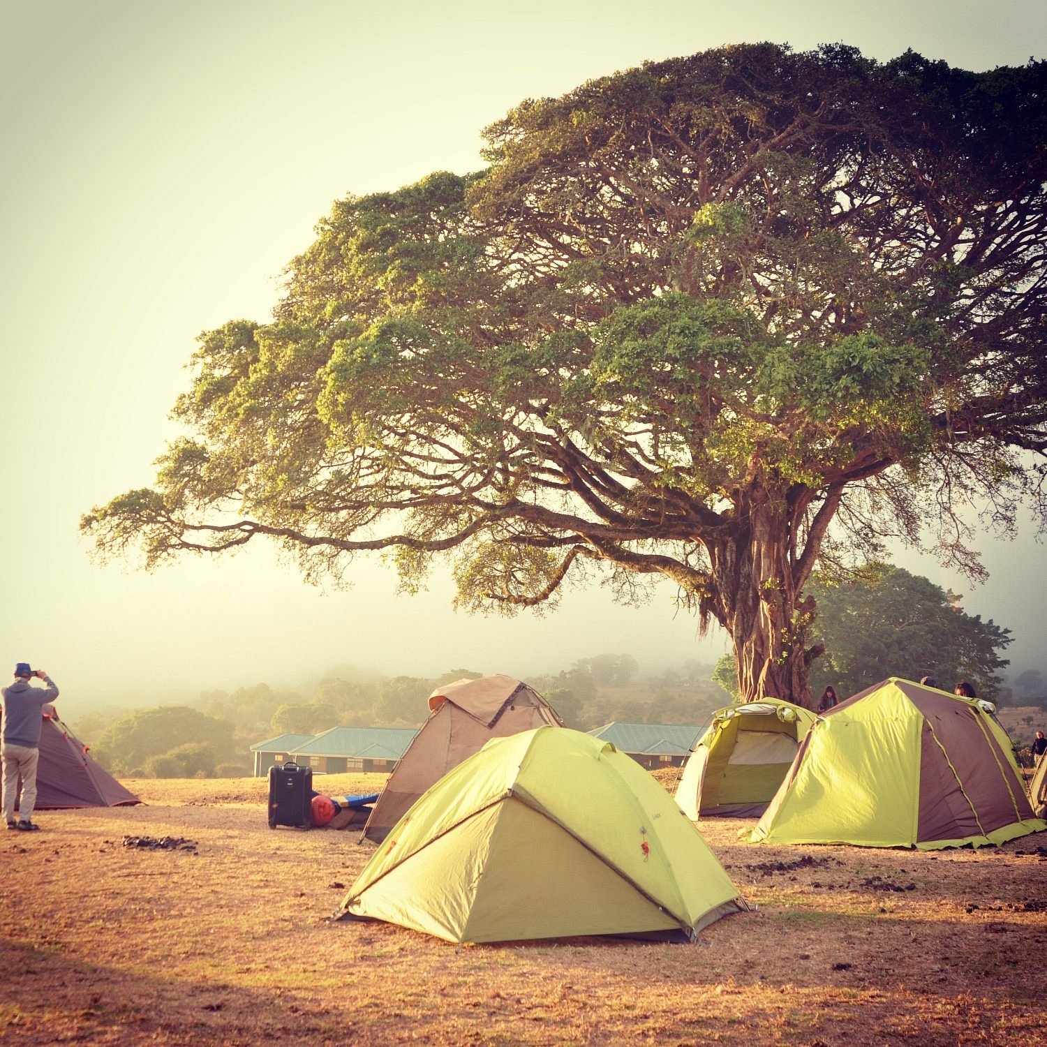 ngorongoro-simba-campsite