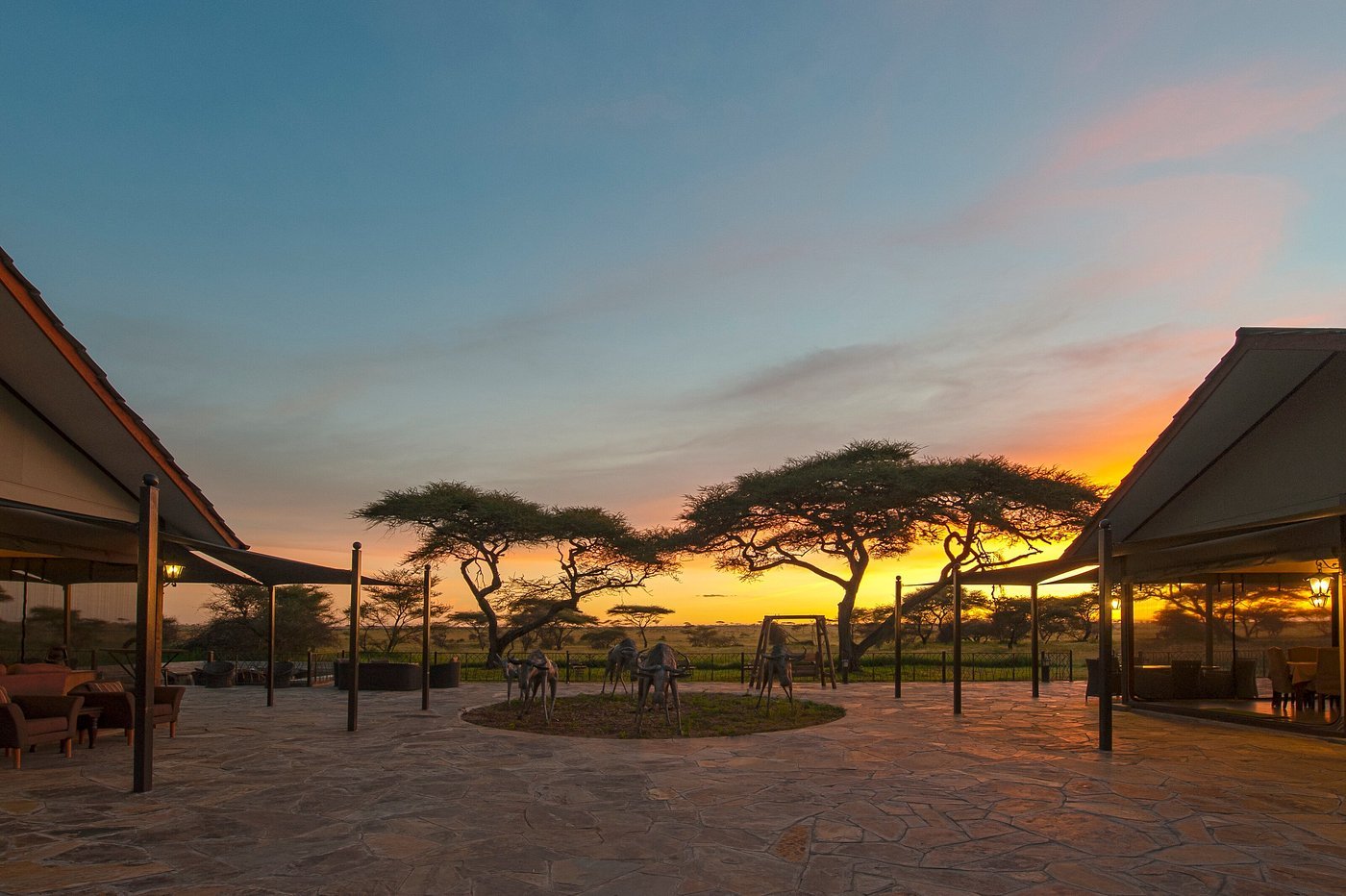 sametu-camp-serengeti