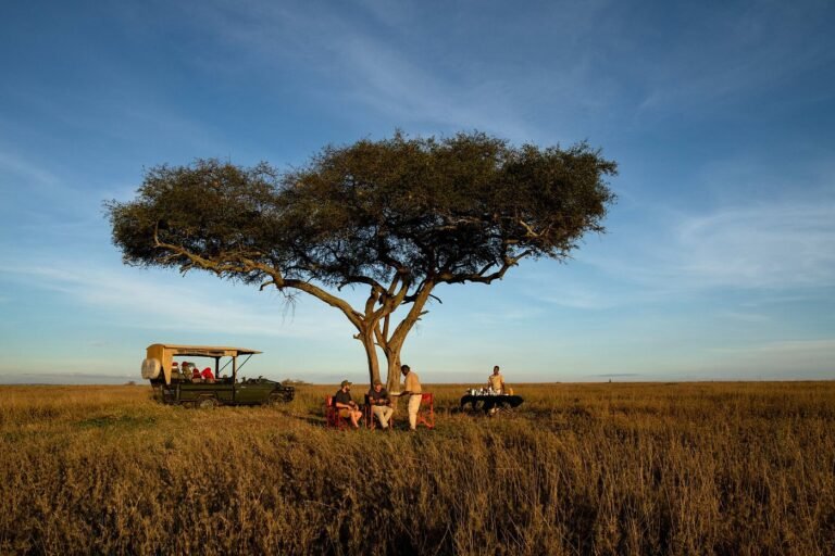 serengeti-sametu-camp (1)