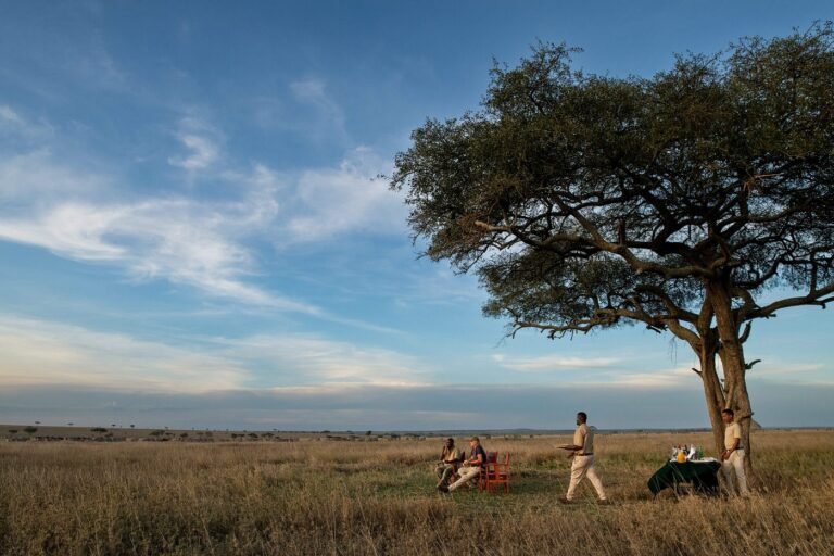 serengeti-sametu-camp (2)