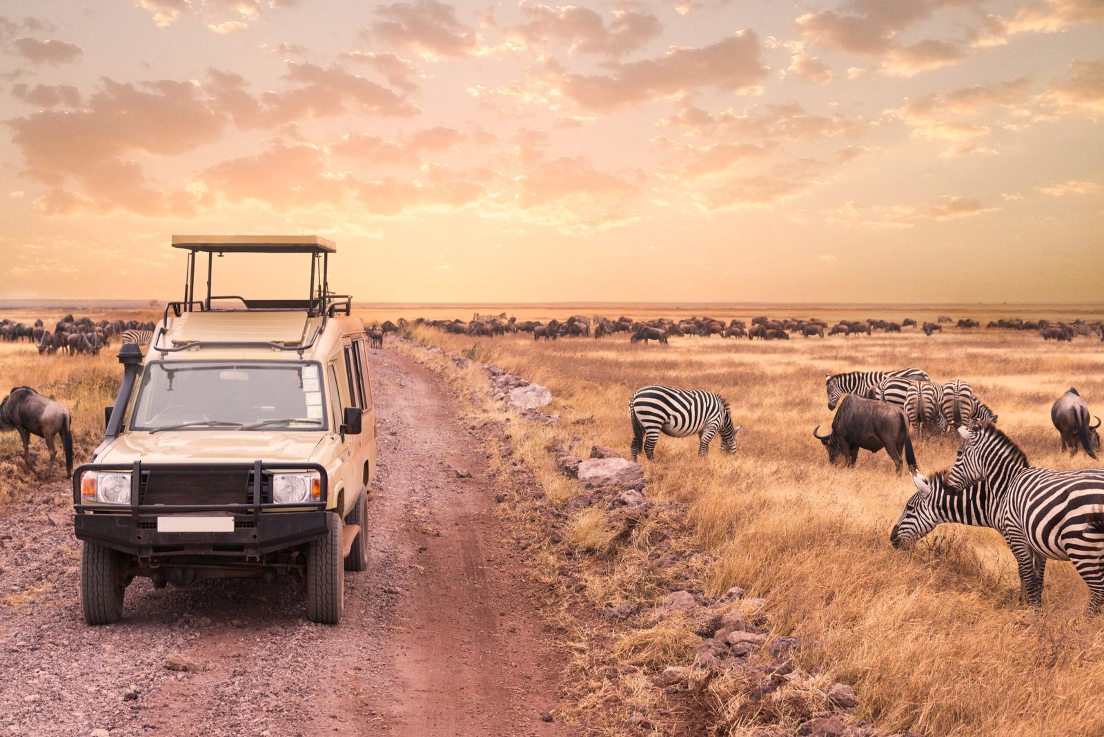 A,Game,Drive,Safari,Into,The,Wildness,Animal,In,Serengeti
