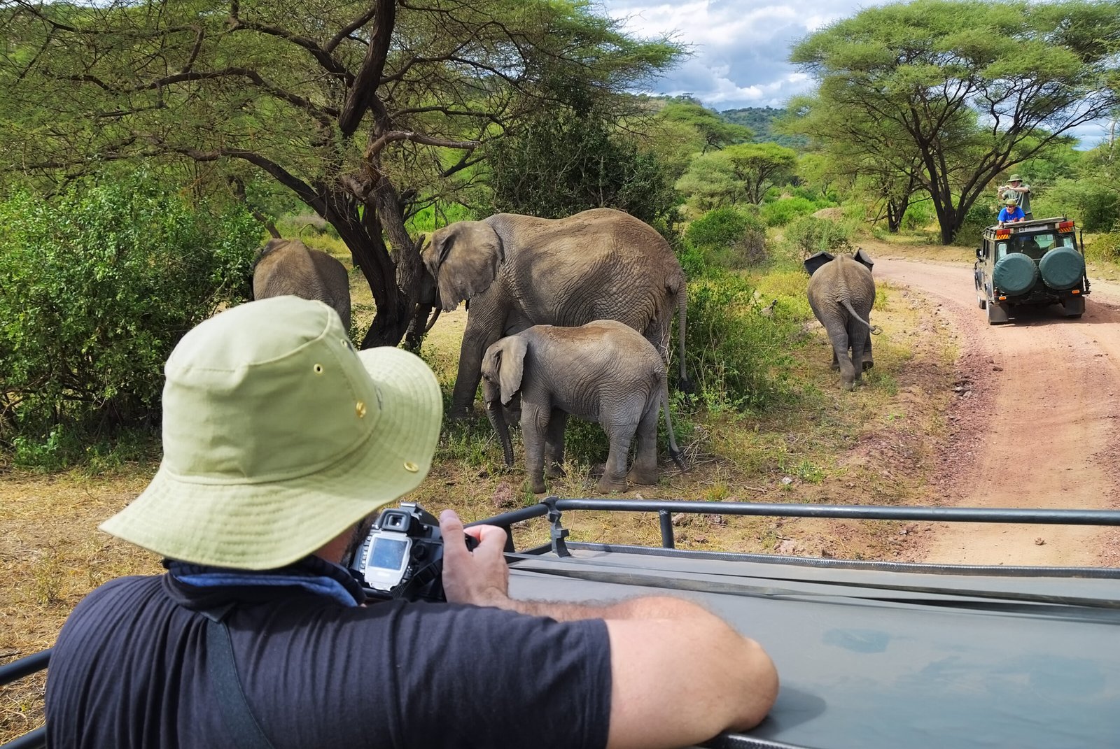 Tourists,On,Game,Drive,Taking,Pictures,Of,Elephants,In,Lake