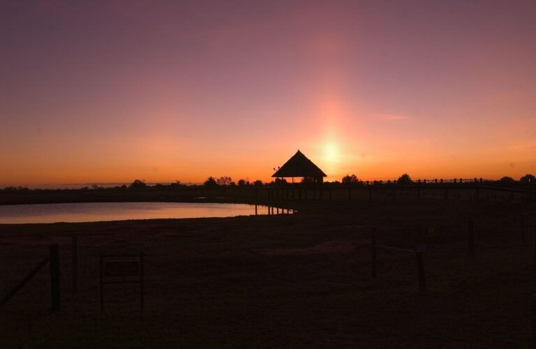 sunset-view