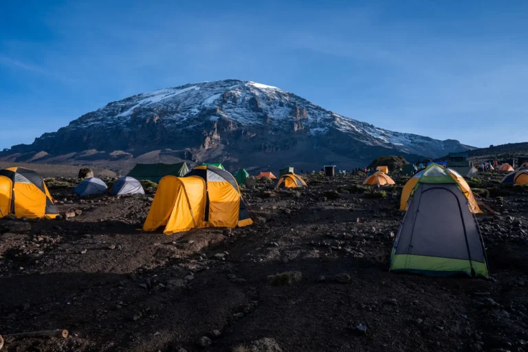 tents-in-a-camping-site-near-kilimanjaro-mountain-2026-03-18-06-34-09-utc
