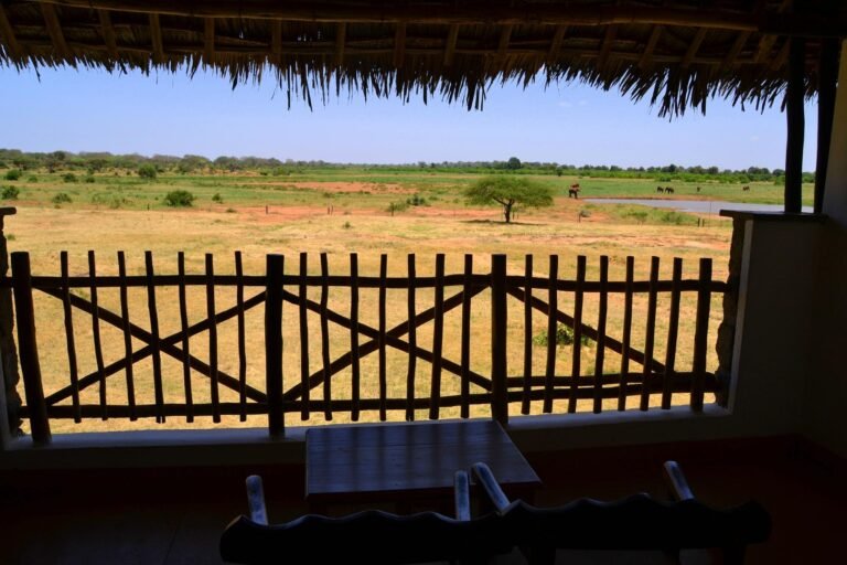 voi-wildlife-lodge (2)