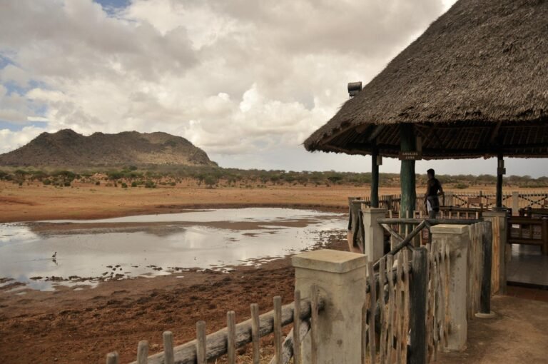 voi-wildlife-lodge (4)