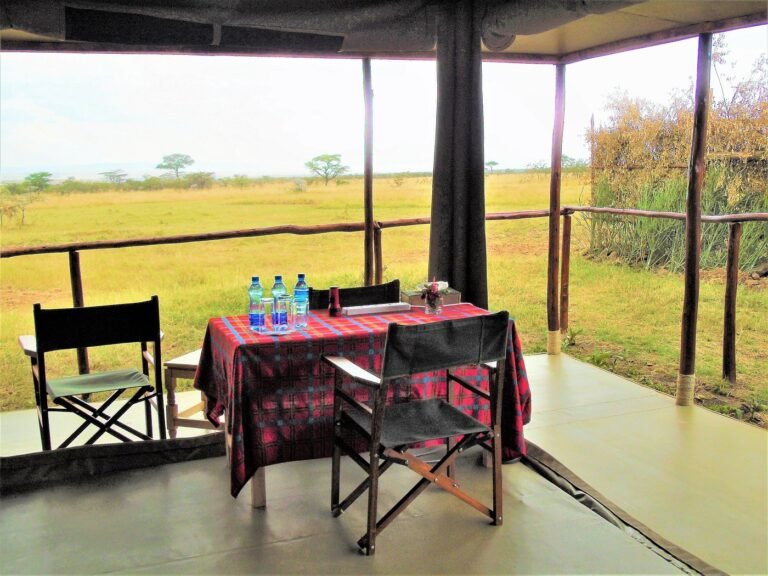 zebra-plains-mara-camp (2)