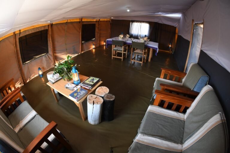 zebra-plains-mara-camp
